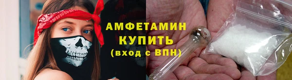 прущая мука Вяземский