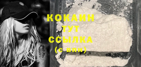 прущая мука Вяземский