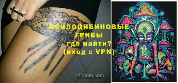прущая мука Вяземский